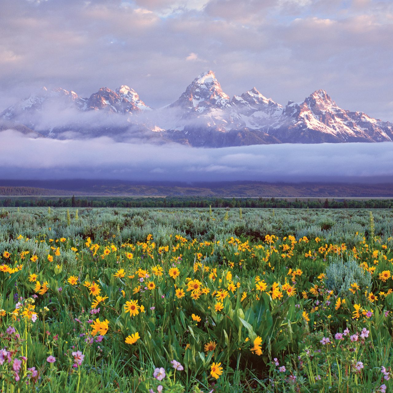 【海外写真集・初版】コロラドの山脈 ジョン・フィールダー 絶景 希少 海外写真集・初版】コロラドの山脈 ジョン・フィールダー 海外写真集