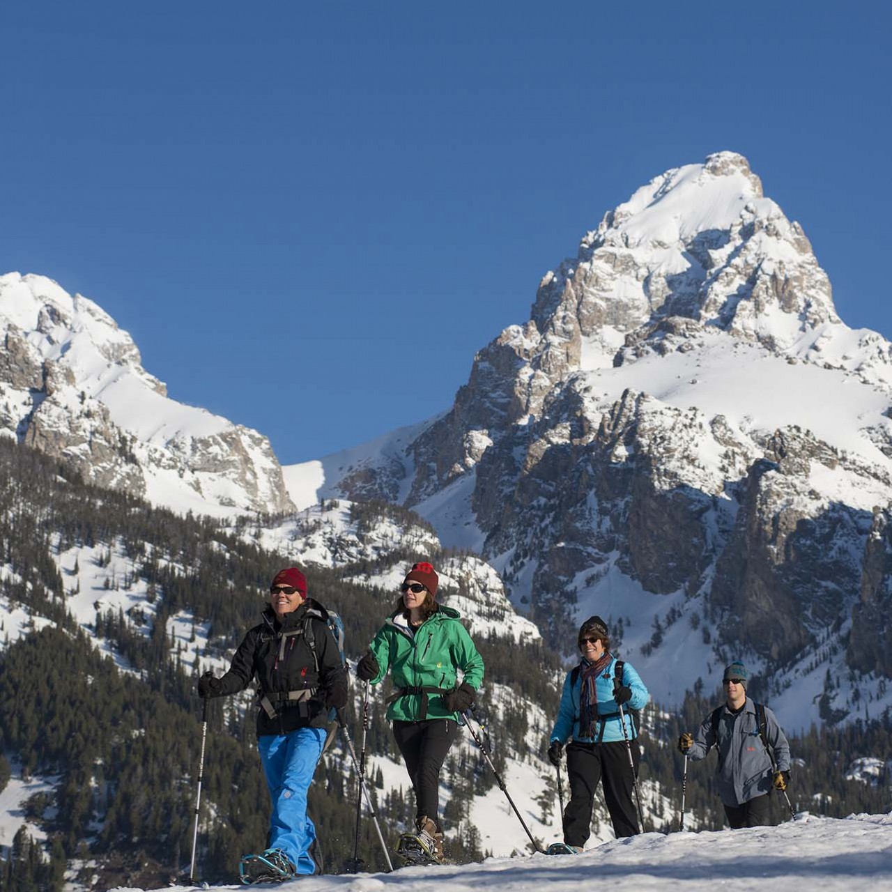 Snowy Excursions Jackson Hole Traveler