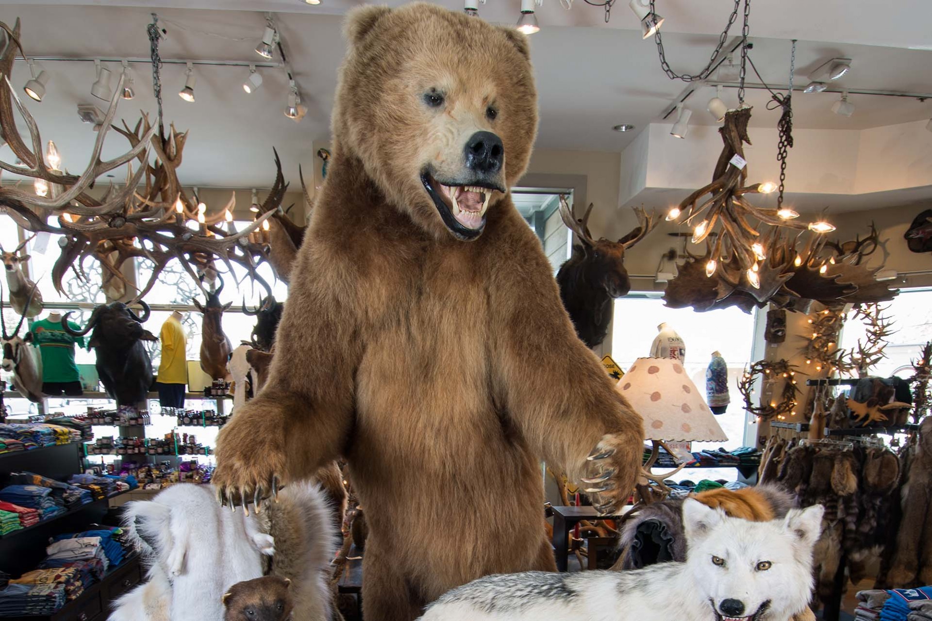 Jackson Hole Mercantile: The Pulse of Mountain Equests and Local Commerce