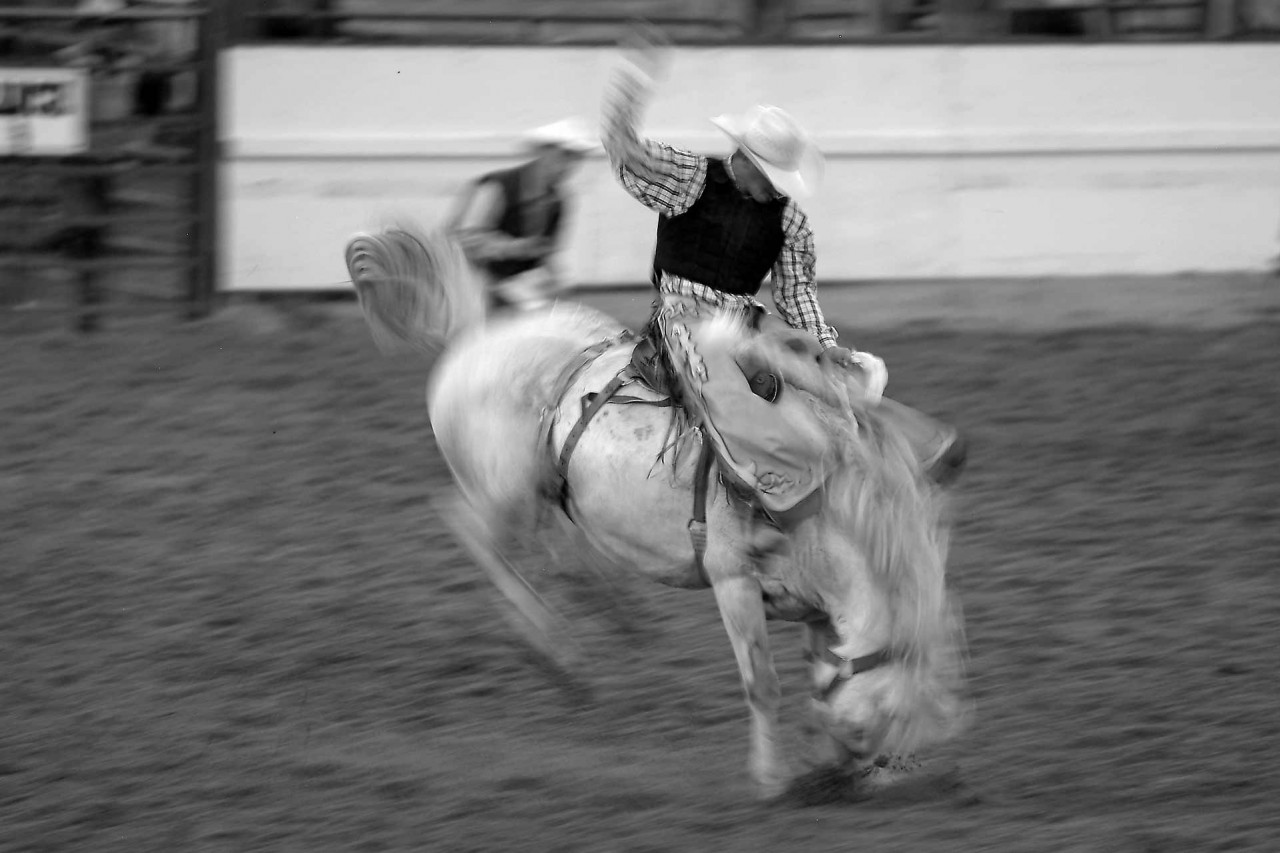 Jackson Hole Horseback Riding - Jackson Hole Traveler