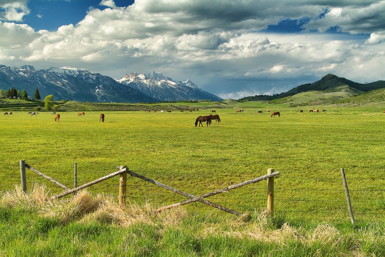 A Guide to Jackson Hole's Protected Wilderness - Jackson Hole Traveler