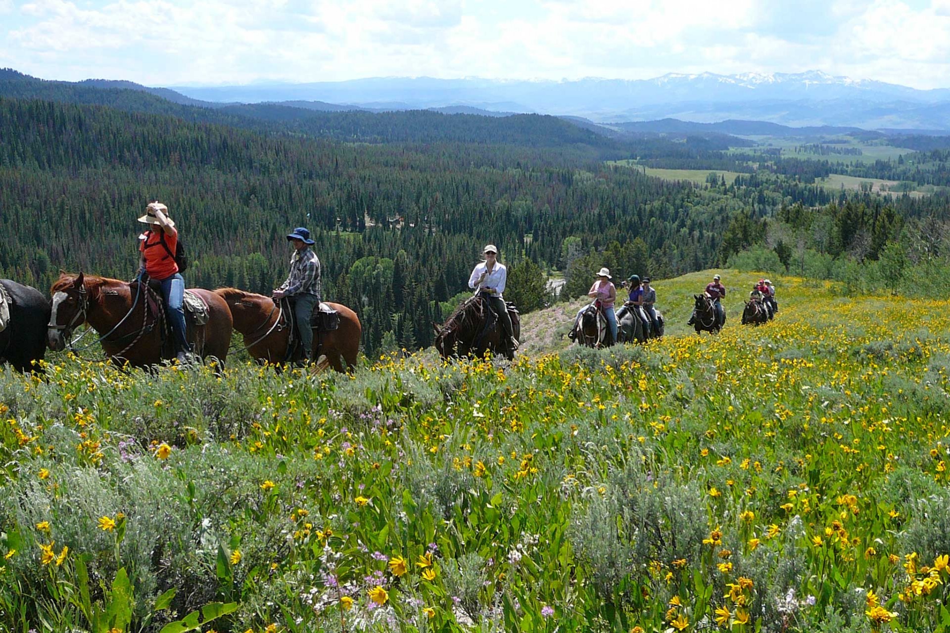 Green River & Bridger-Teton Outfitters Horseback Rides - Jackson Hole
