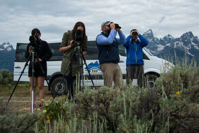 Jackson Hole Tours The Essentials Jackson Hole Traveler