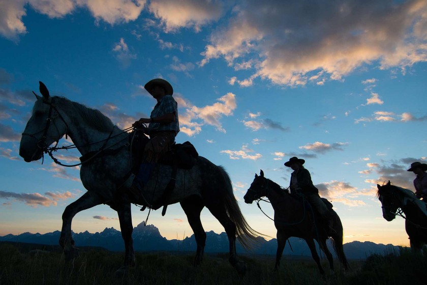 Horseback Riding in Jackson Hole The Essentials