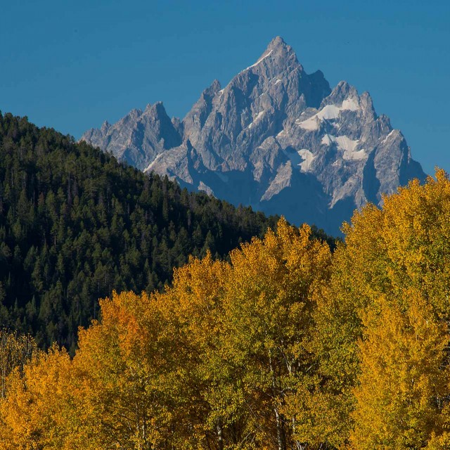 A Jackson Hole Summer List of Things To Do Jackson Hole Traveler