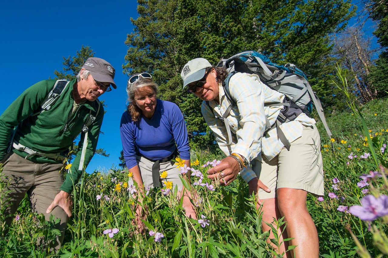 The Hole Hiking Experience Jackson Hole Traveler