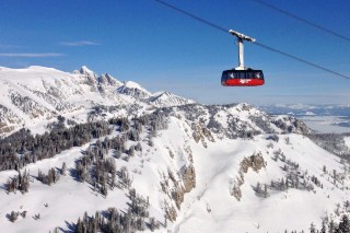 jackson hole traveler visitor