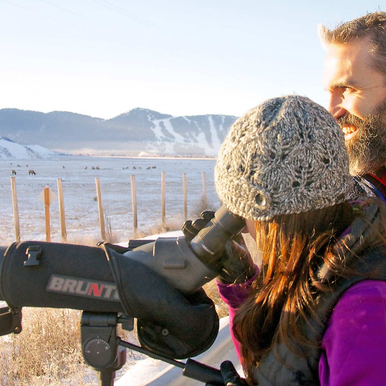 Jackson Hole & Grand Teton Wildlife Tours Jackson Hole Traveler