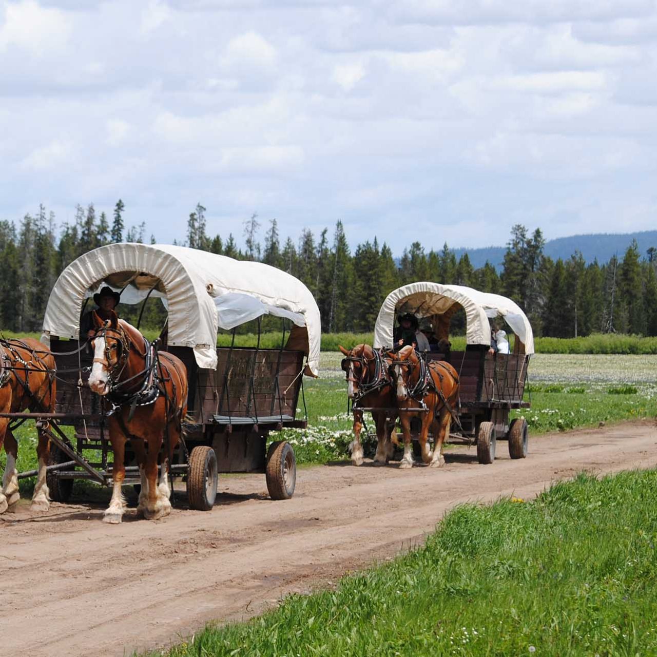 A Guide to Jackson Hole's Protected Wilderness Jackson Hole Traveler