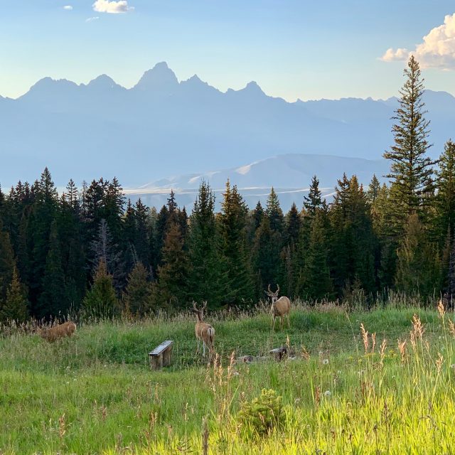 Best RV Parks Near Jackson Hole - Jackson Hole Traveler