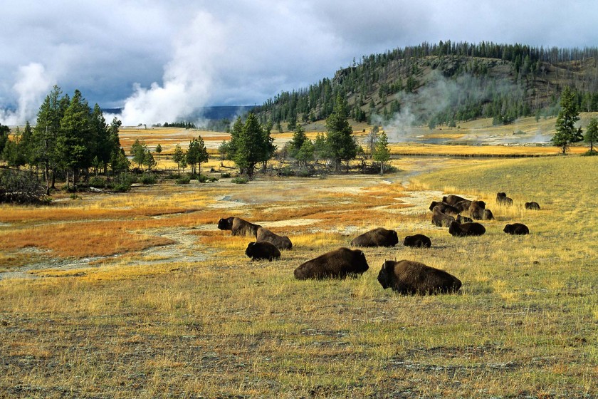 Grand Teton & Yellowstone Road Conditions